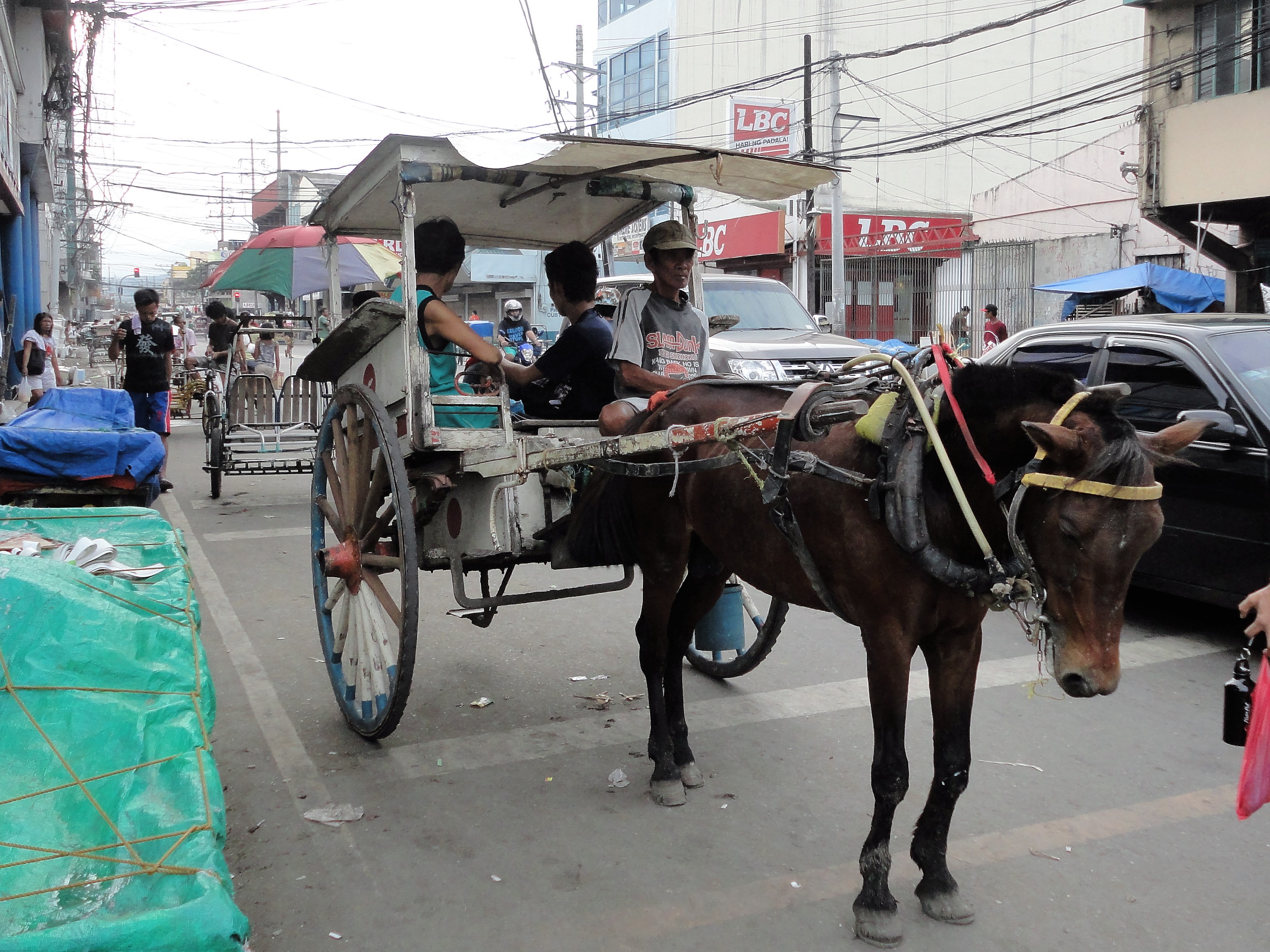 たった20円で憧れの「馬車」に乗れる！セブのびっくり交通事情！