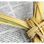 Holy week(聖週間)とは…?